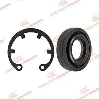 Selo do Compressor BWW Série 1 e 2 / Chevrolet Cruze / Hyundai HB20 / Calsonic RC.600.225 / Delphi CVC / Mini Lip Seal R134a