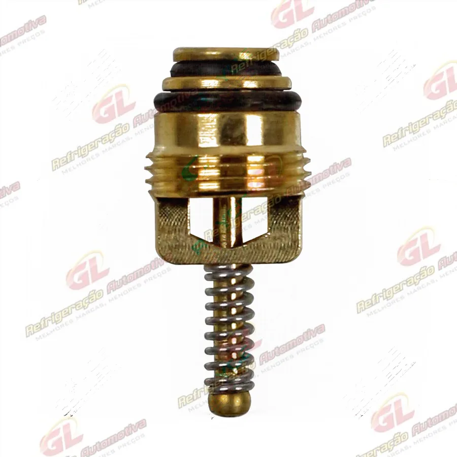 Núcleo de Válvula Schrader Large-Bore com Rosca M10 Ford Fiesta 1999>/ Ranger