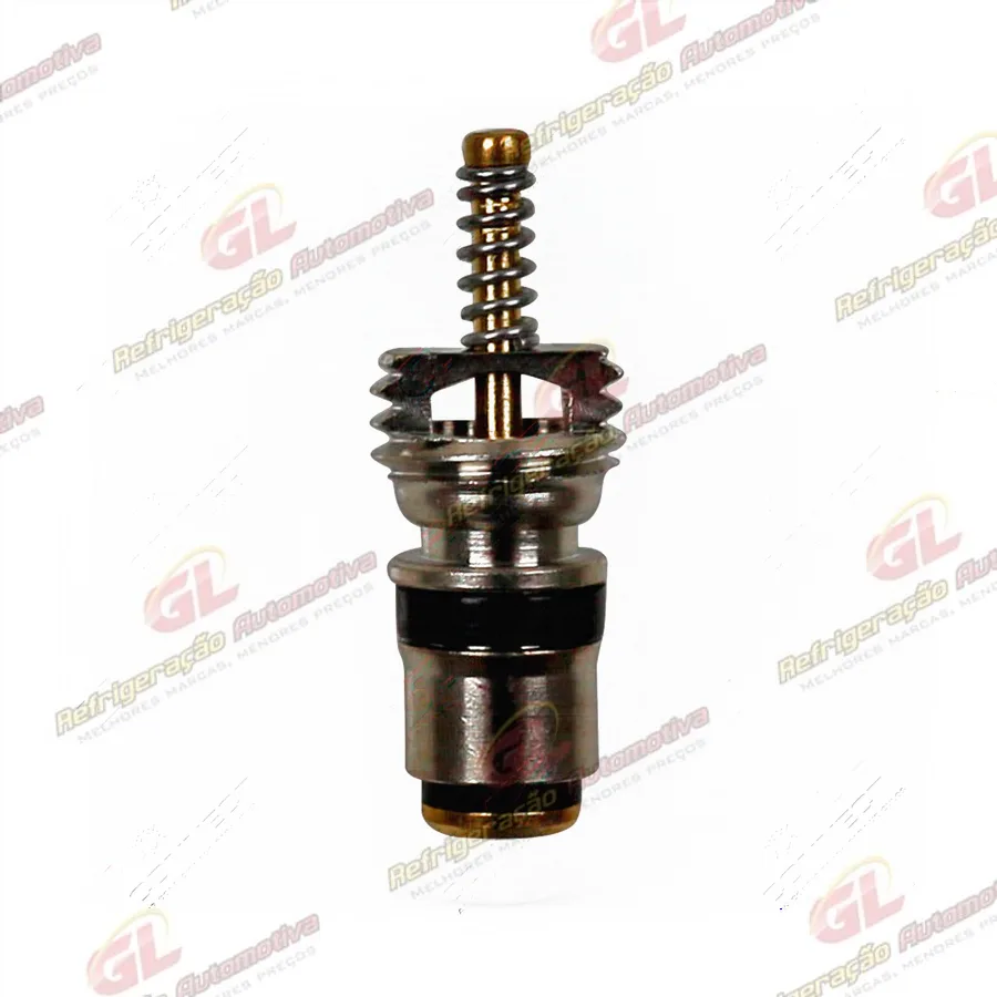 Núcleo Válvula Schrader Large-Bore Rosca M8 Clio/ Megane/ Scenic/ Peugeot 206 / Xsara/ Picasso Pacote Com 10 Pçs