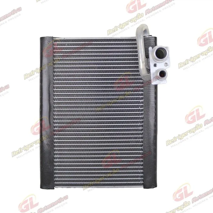 Evaporador Citröen C4 Pallas Todos/ Peugeot 307 Caixa Behr Fluxo Paralelo