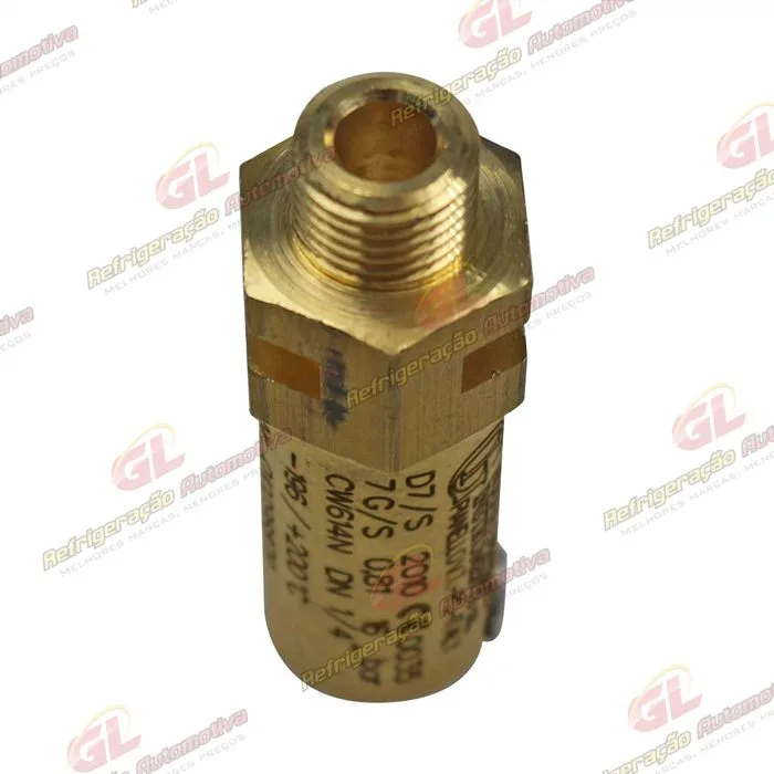 Válvula de Segurança do Tanque da Recolhedora Robinair RC.500.490/590 — foto 2